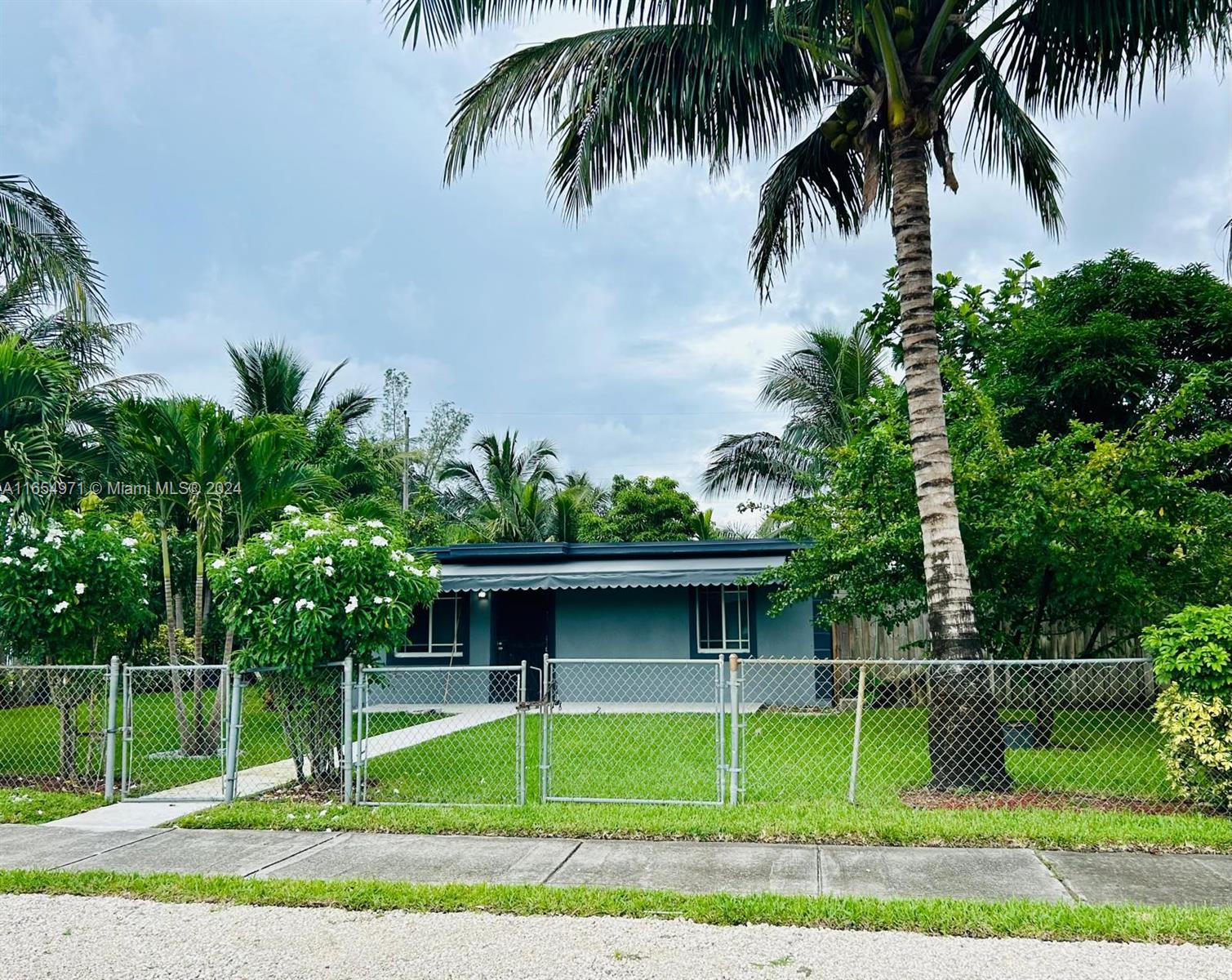 a view of a backyard with plants and palm trees