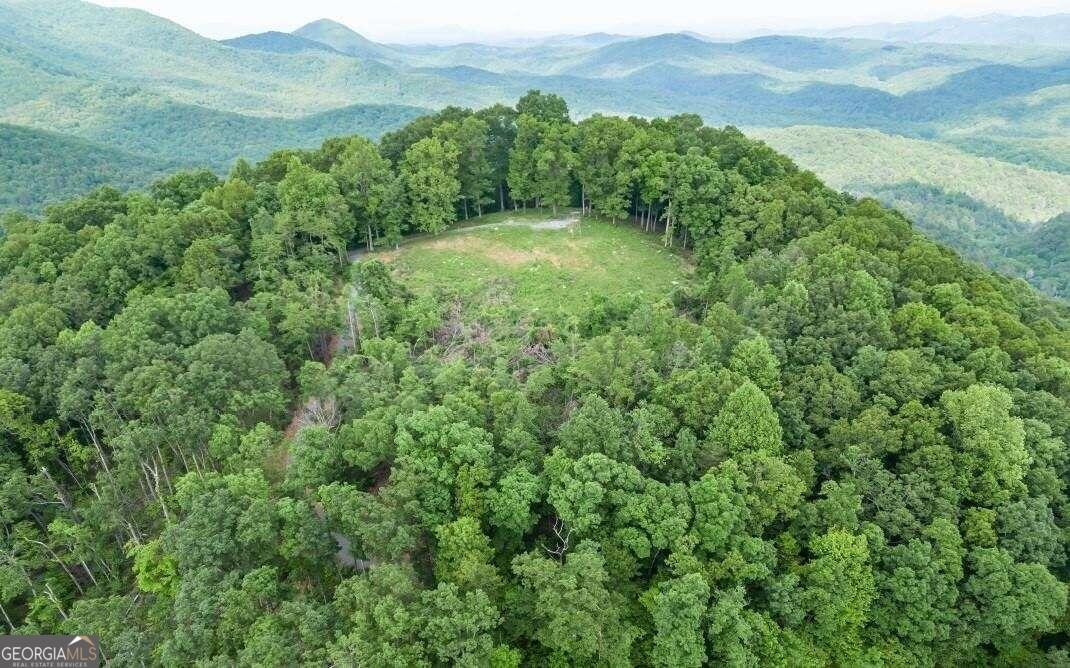 a view of a lush green forest with lush green forest