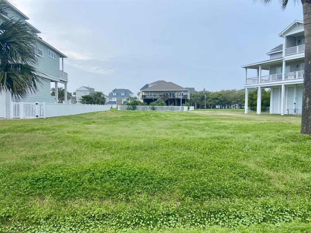 a view of a big yard with a building and large trees