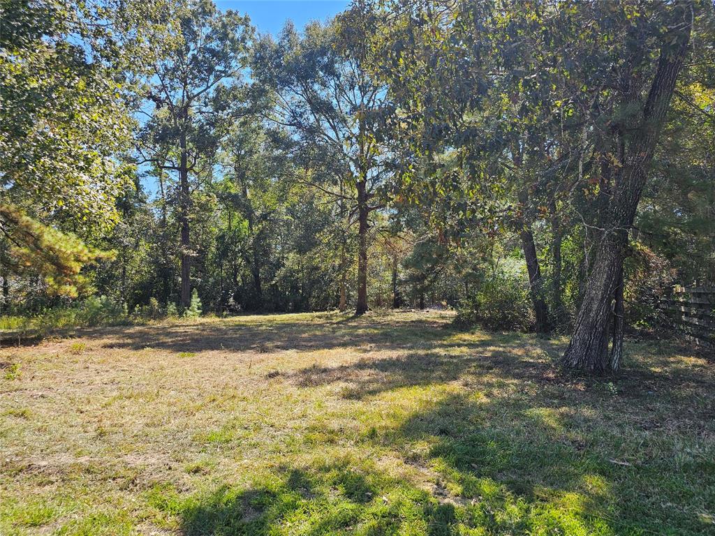 a view of a yard with trees