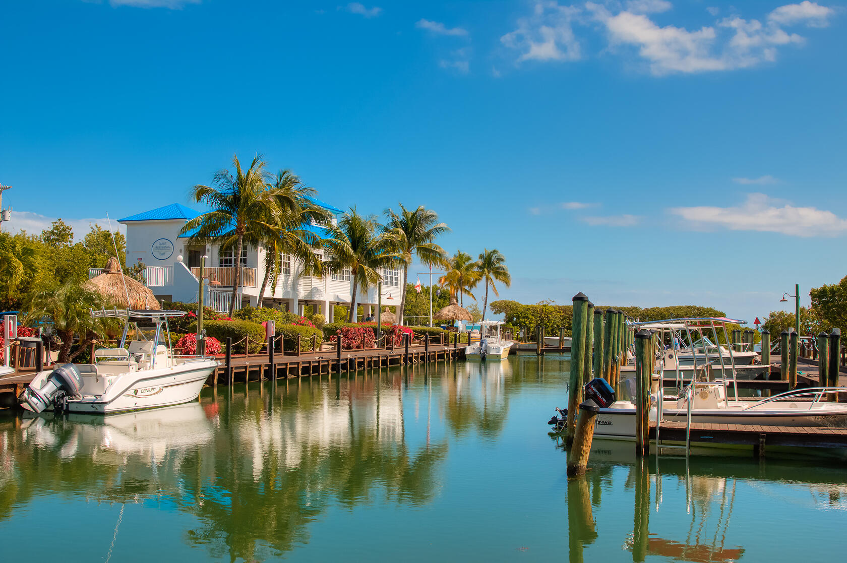 a view of ocean with boats and trees in the background