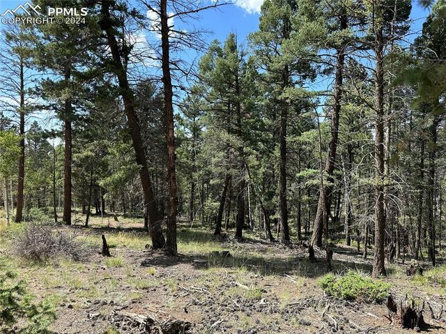 $20,500 | 671 Pinewood Road | Colorado Mountain Estates