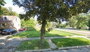 a view of yard with tree s