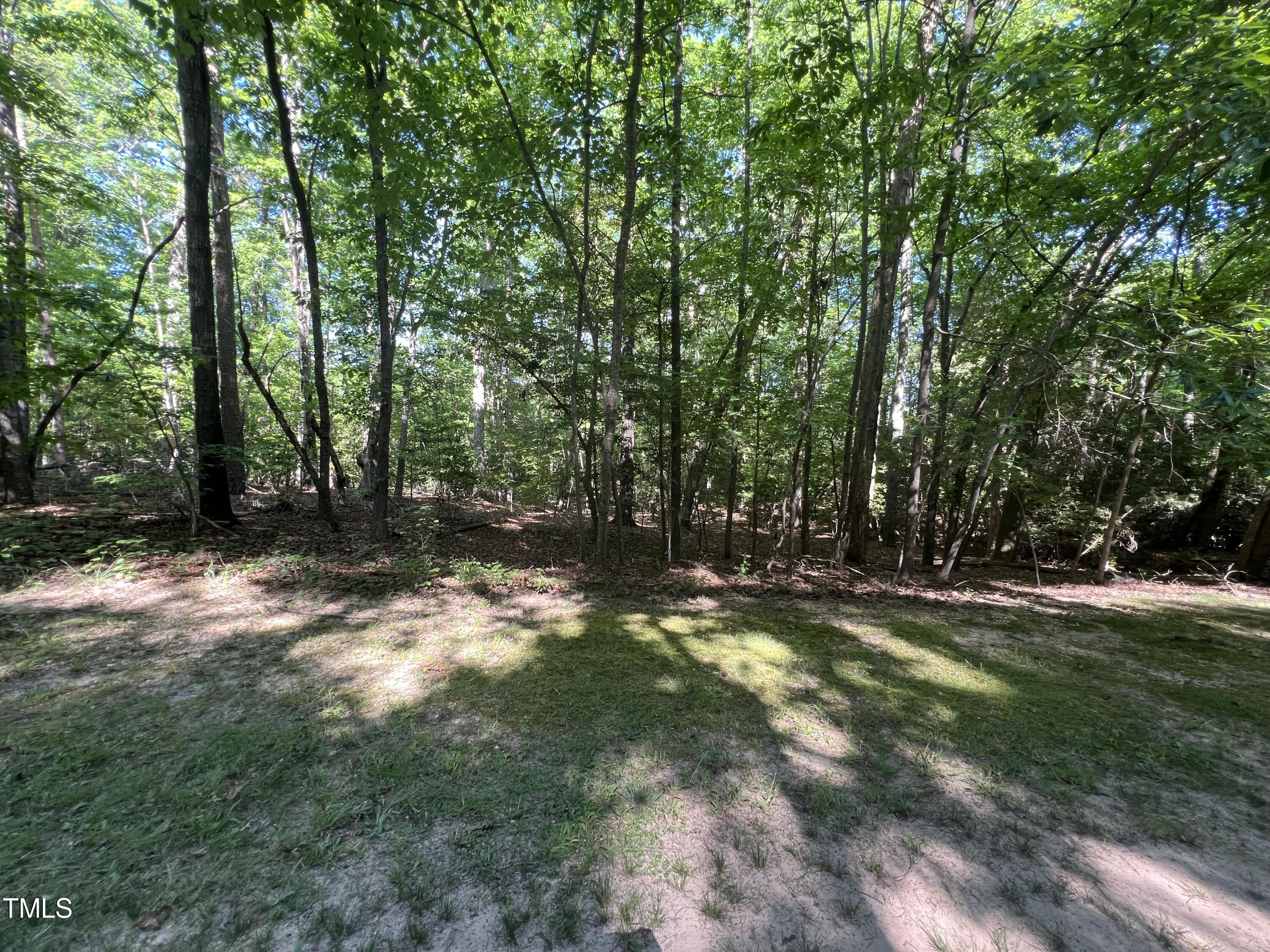 a view of a trees with a yard