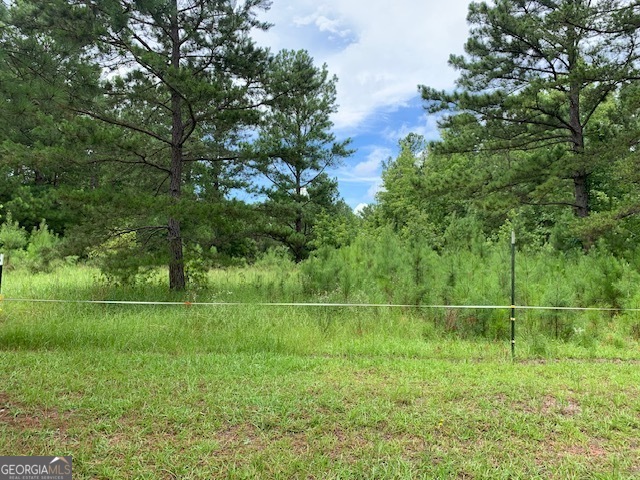 a backyard of field and trees