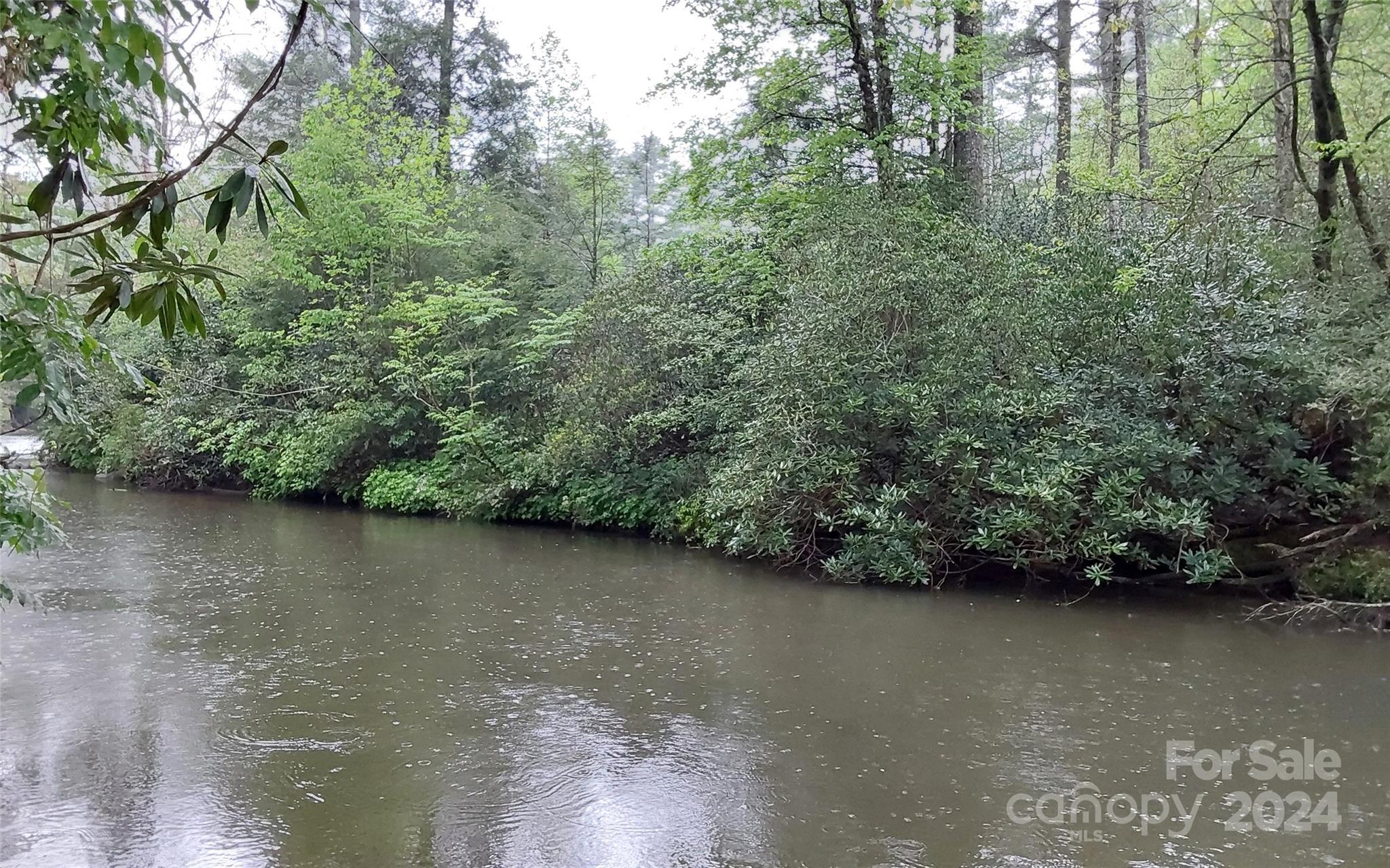 a view of a lake with a forest