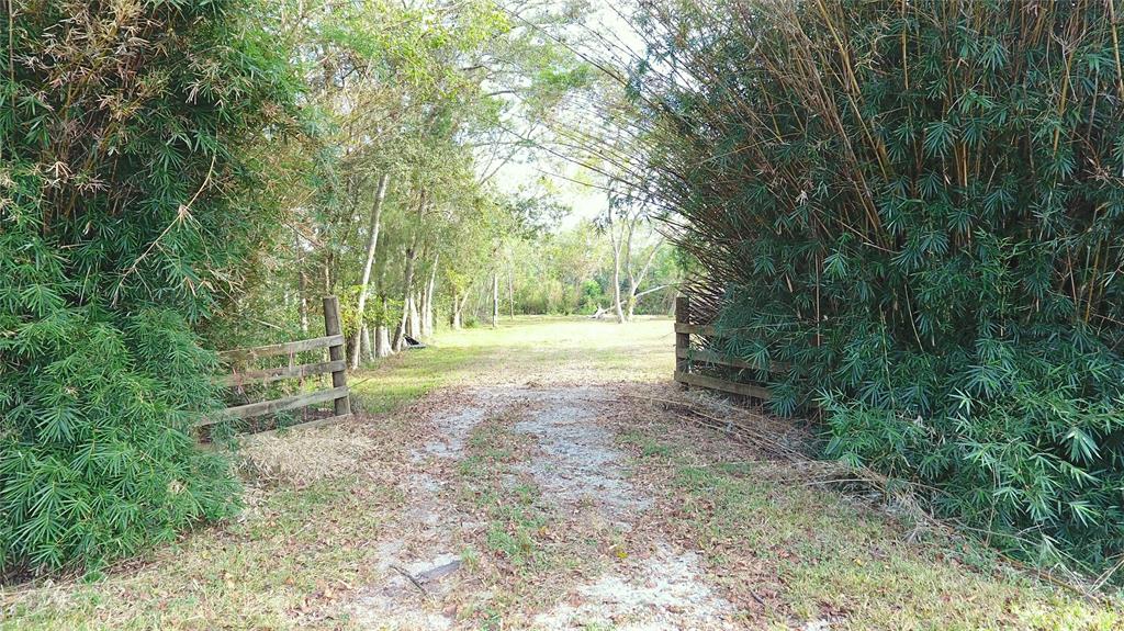 a view of backyard with green space