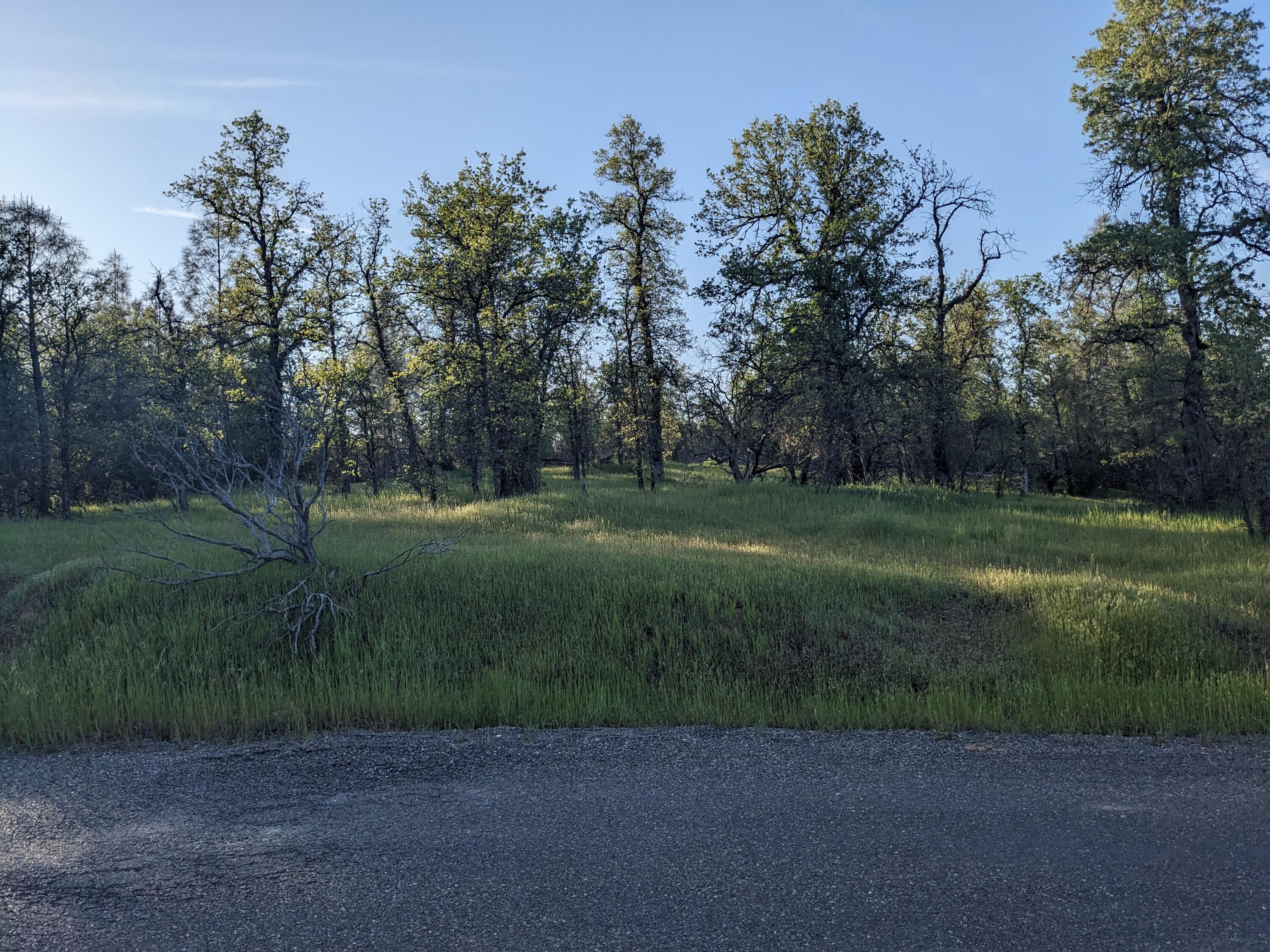 a view of a park