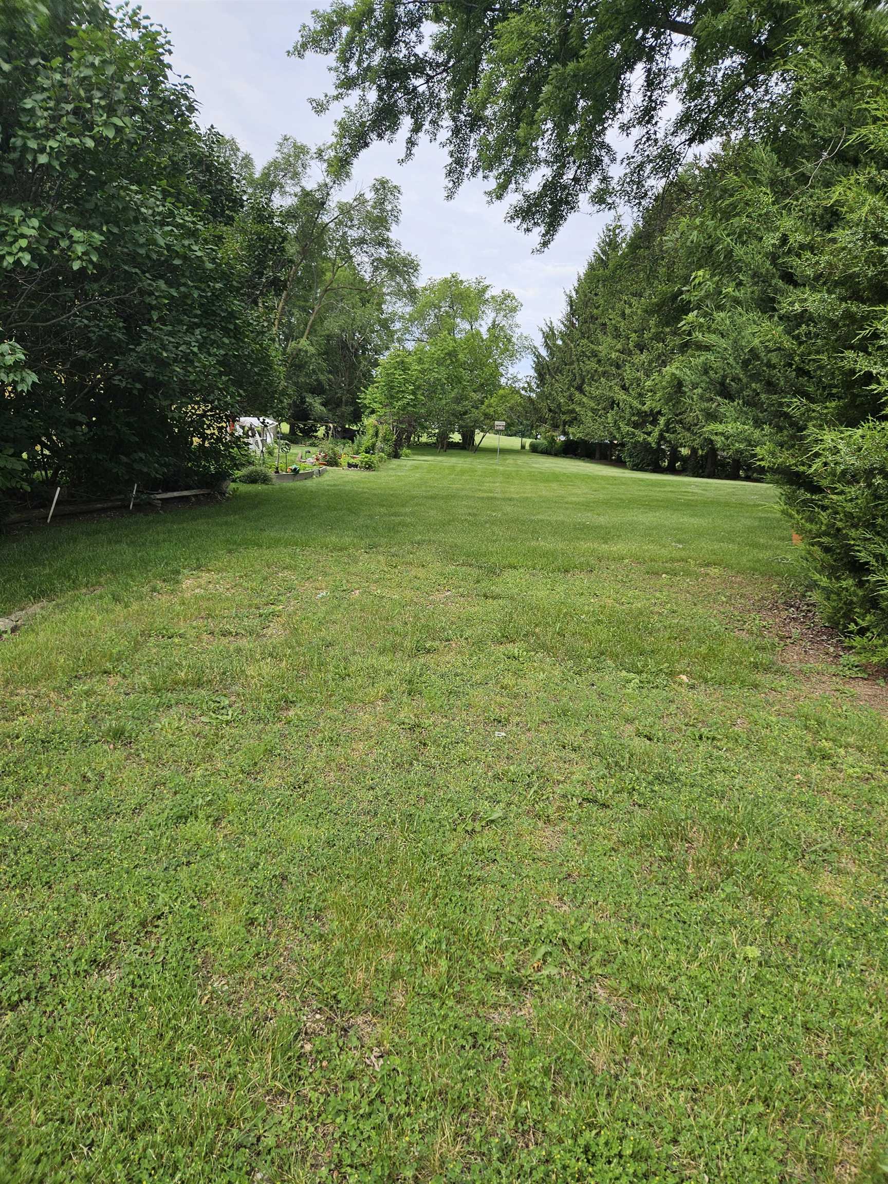 a view of a grassy field with trees