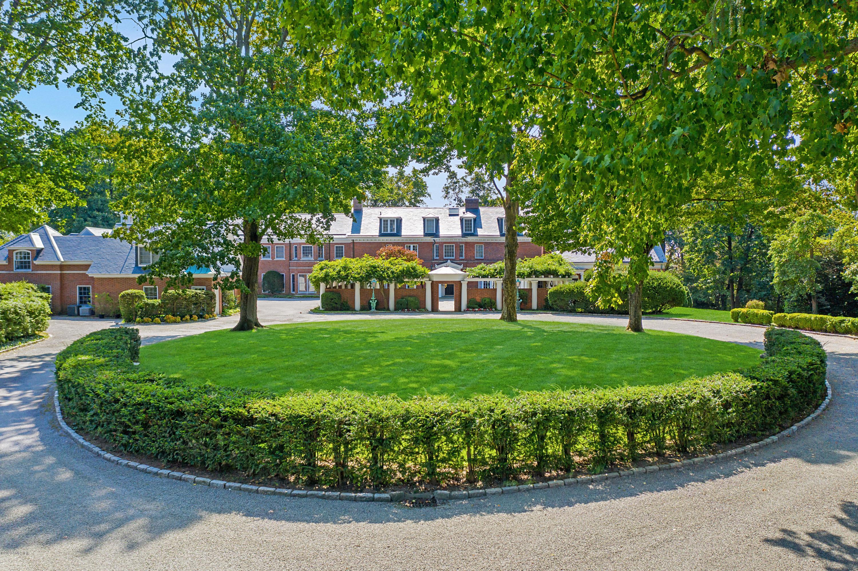 a view of a big yard with plants and large trees