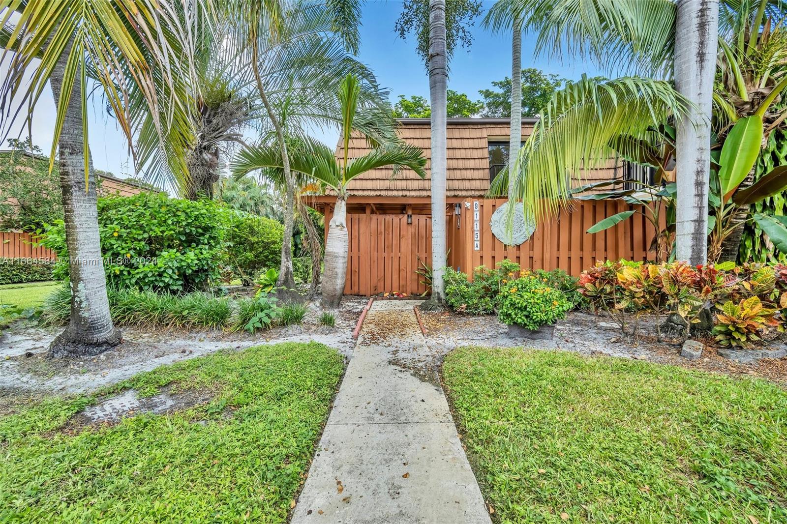 a view of a pathway with a palm trees