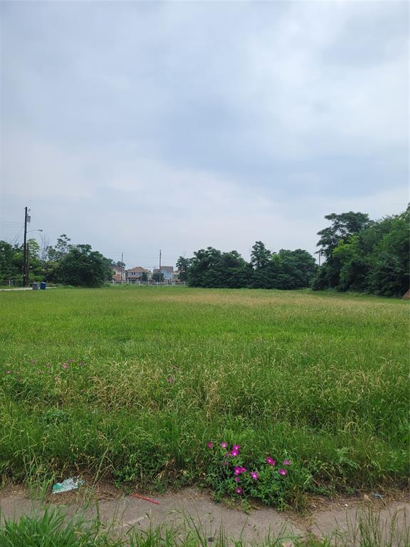 a view of a lake with a big yard