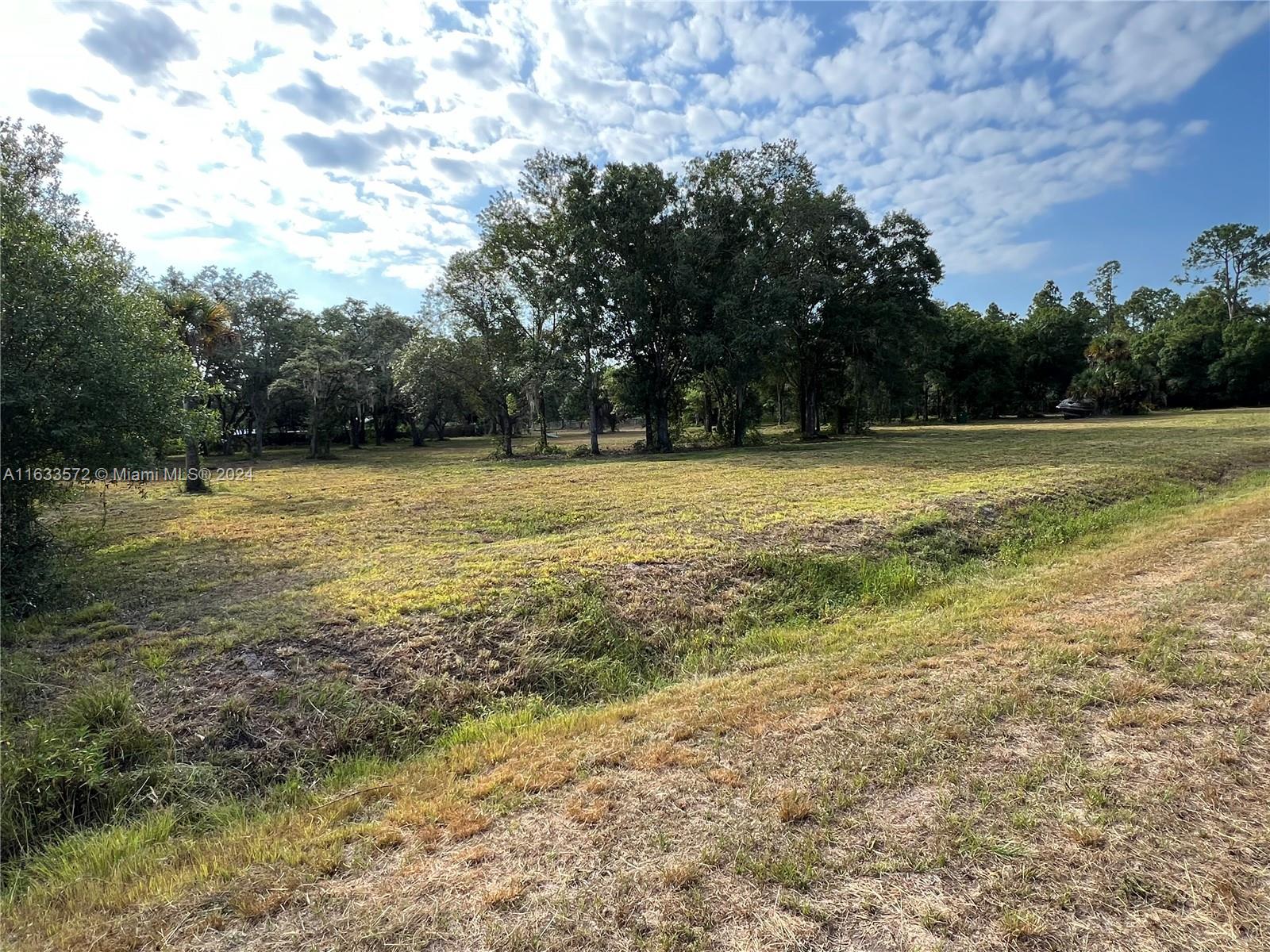 a view of a field with an trees