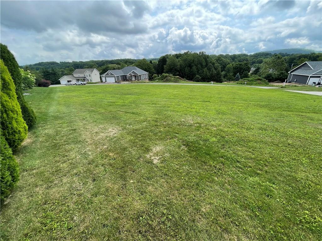 a view of a grassy field with trees