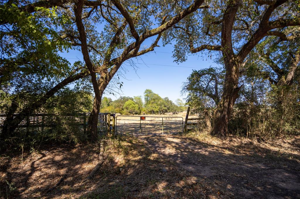 a view of dirt yard with a tree