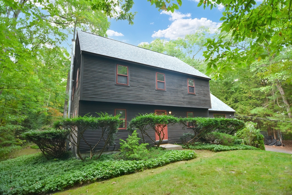 a backyard of a house with plants and large tree