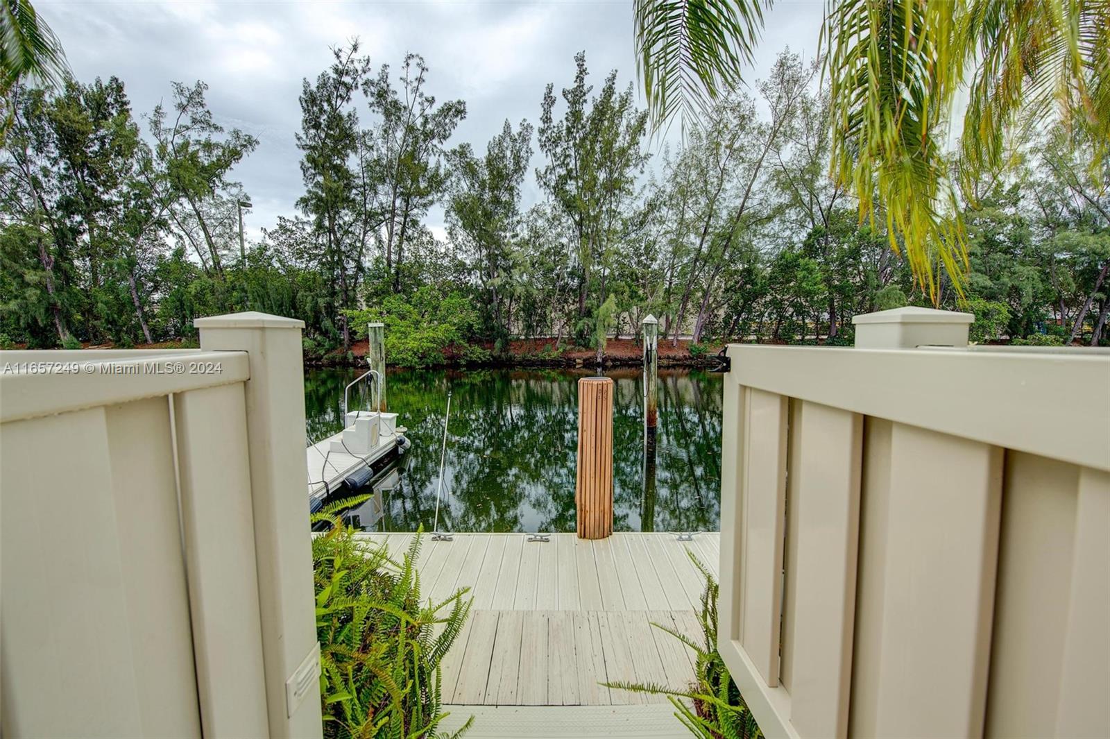 a view of a small yard with plants