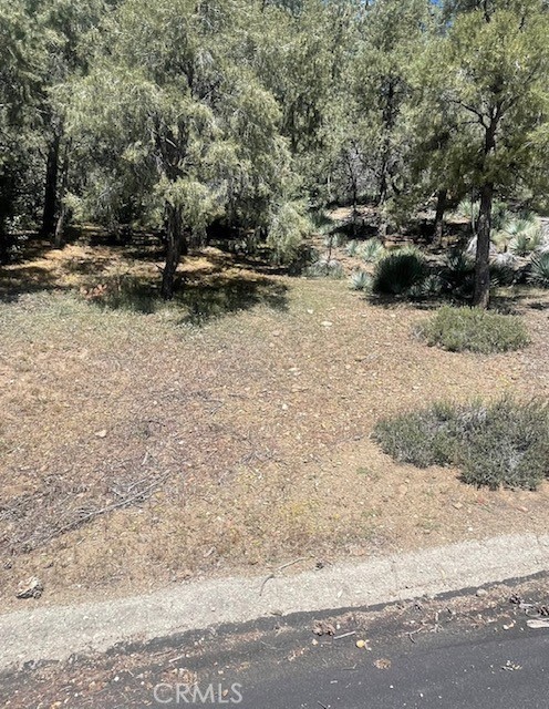 a view of a yard with a large tree