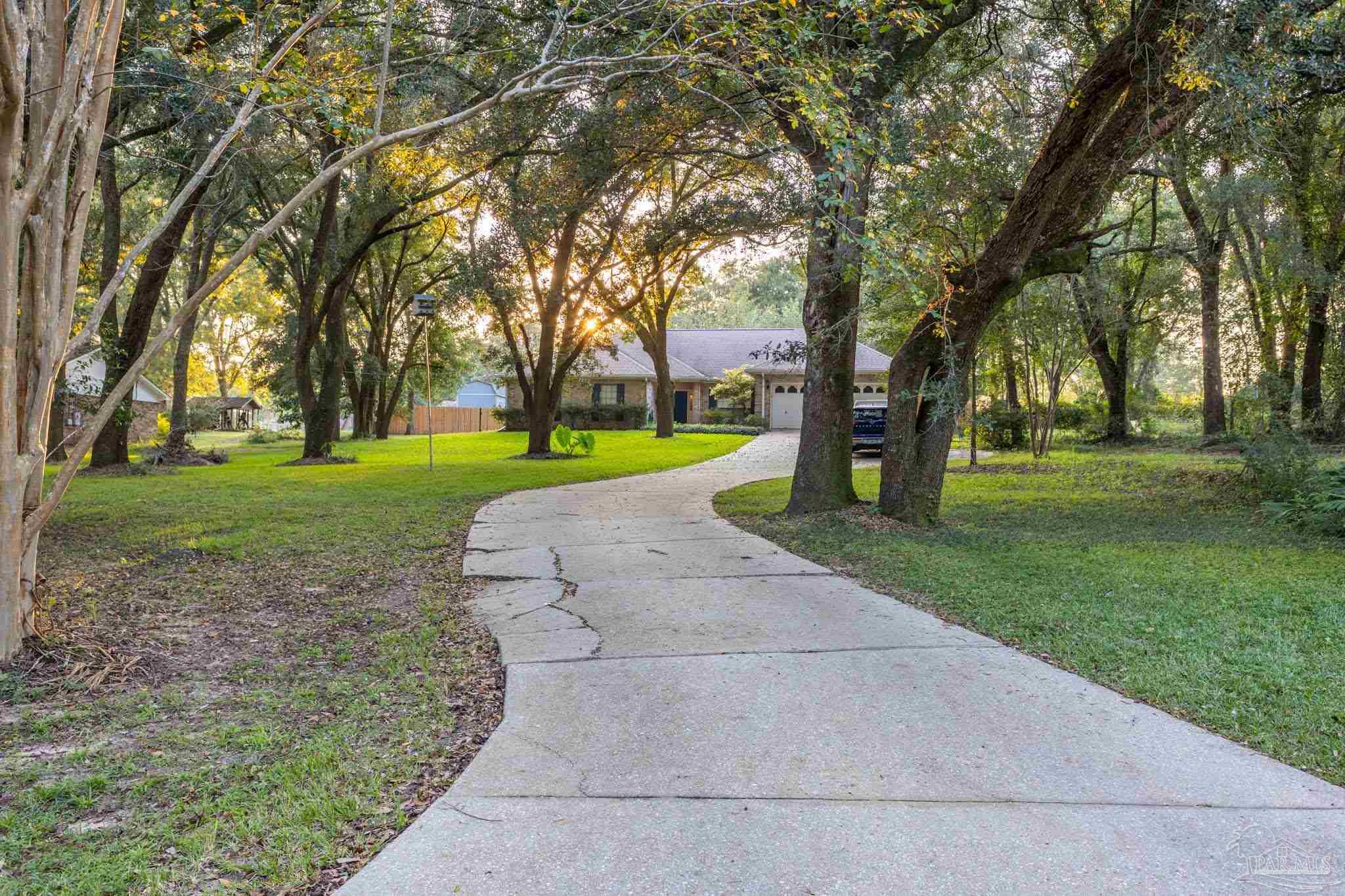 a view of a park with tree s