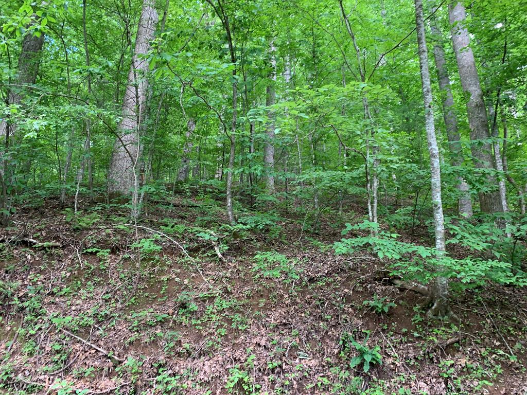 a view of outdoor space and green space