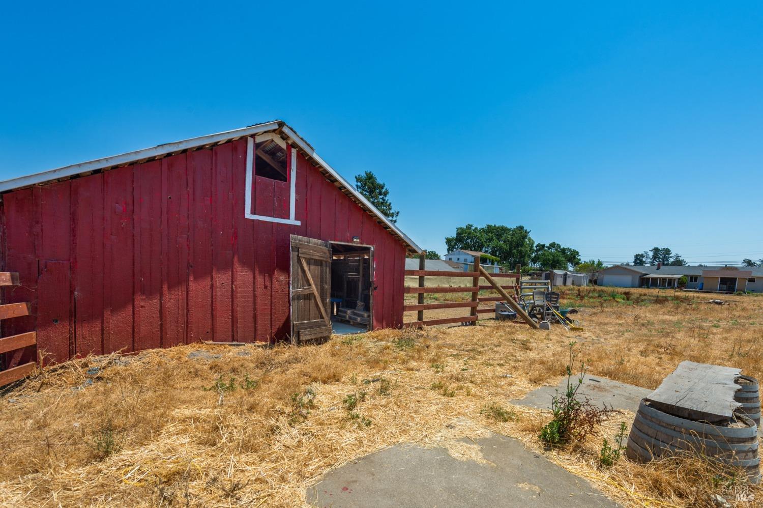 a view of a backyard with large tree and wooden fence