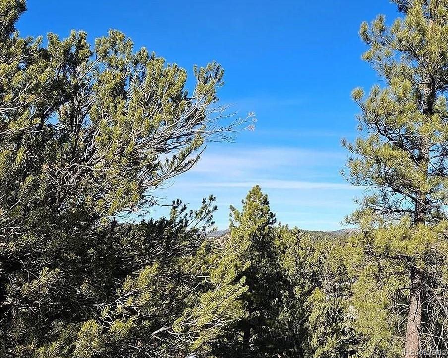 a view of a tree with a yard