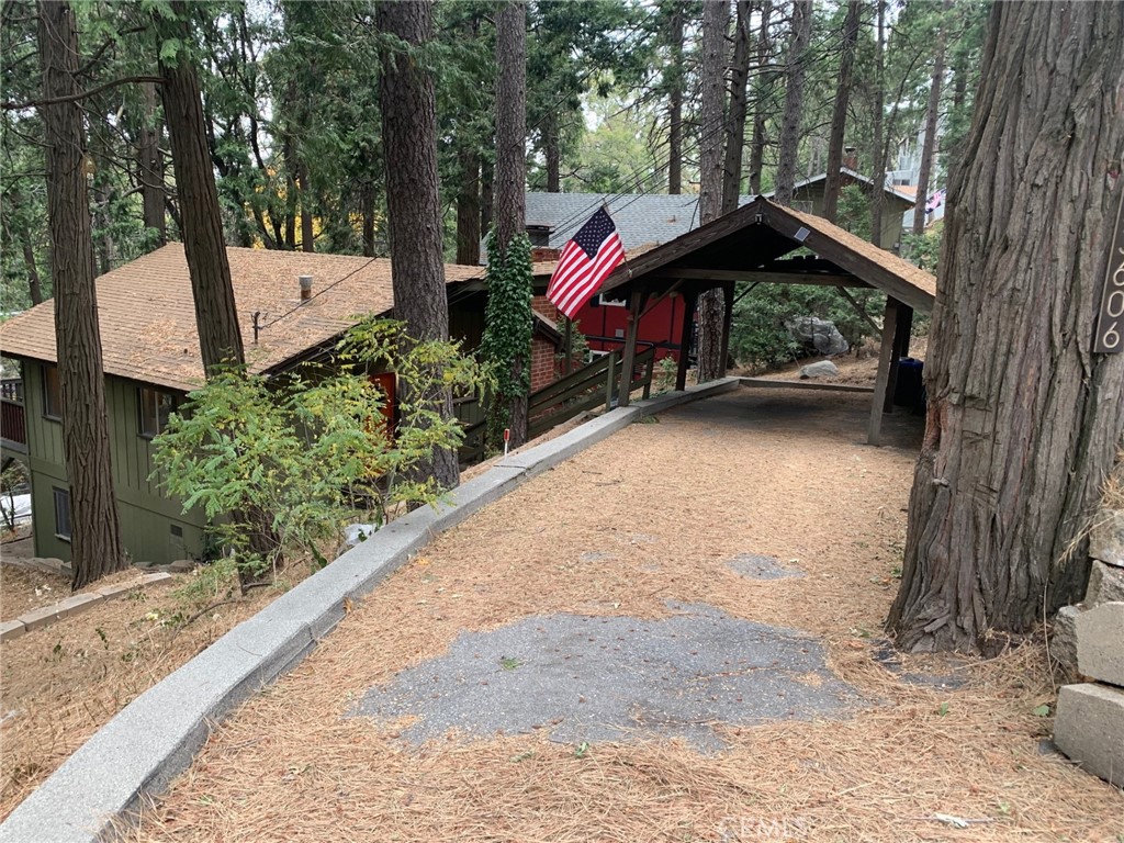 a view of a park with large trees