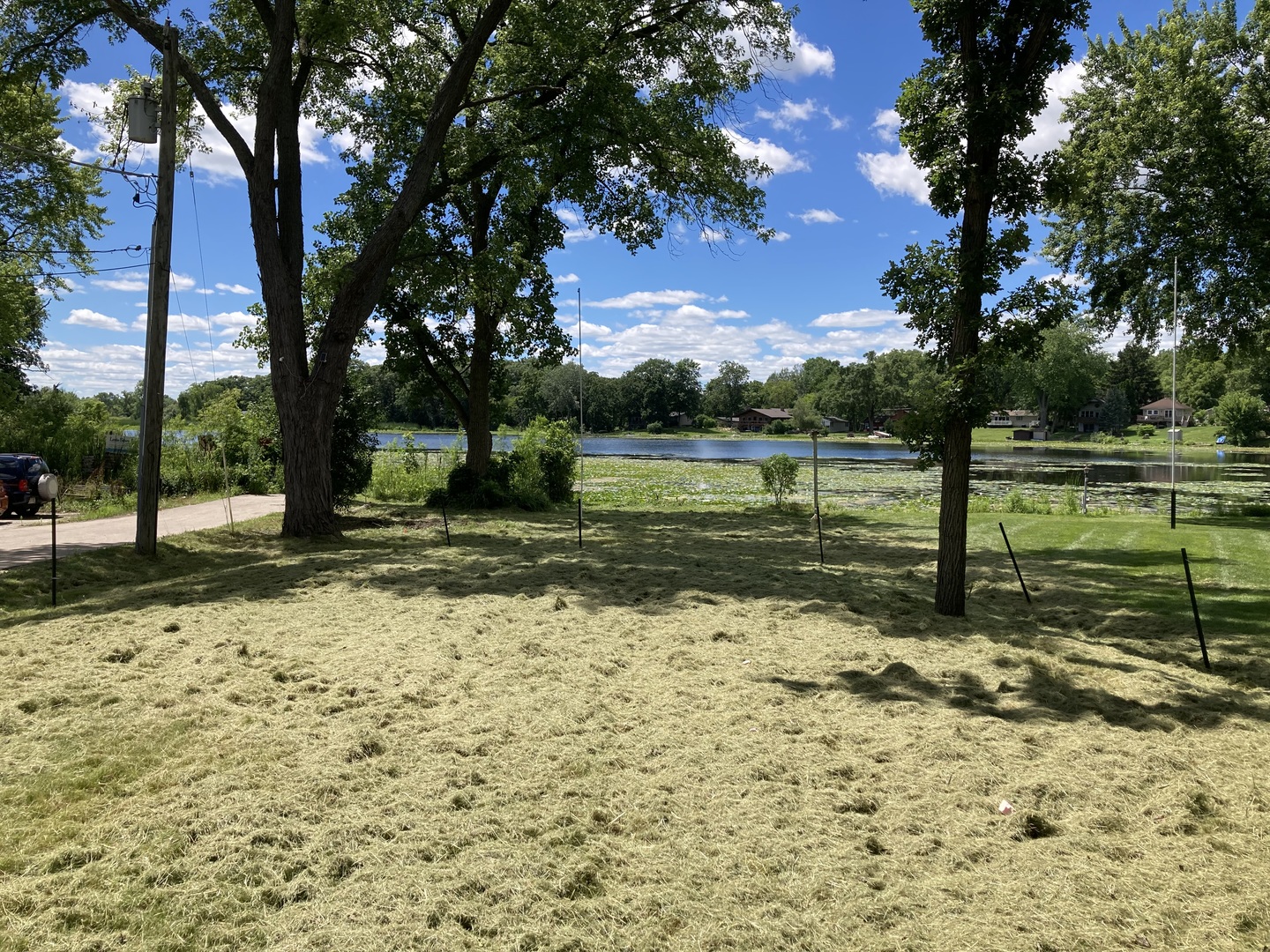 a view of a park with large trees