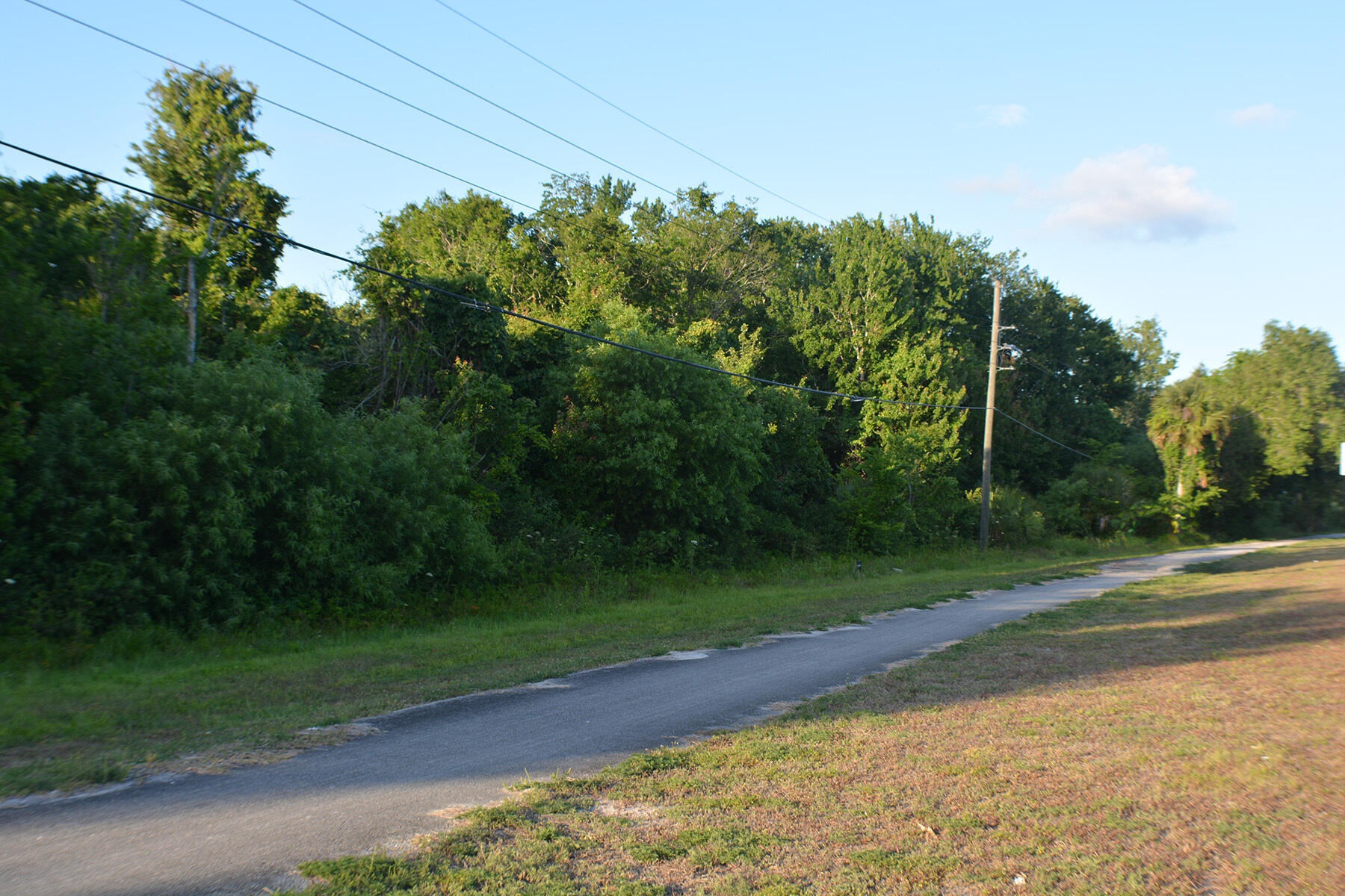 a view of a yard