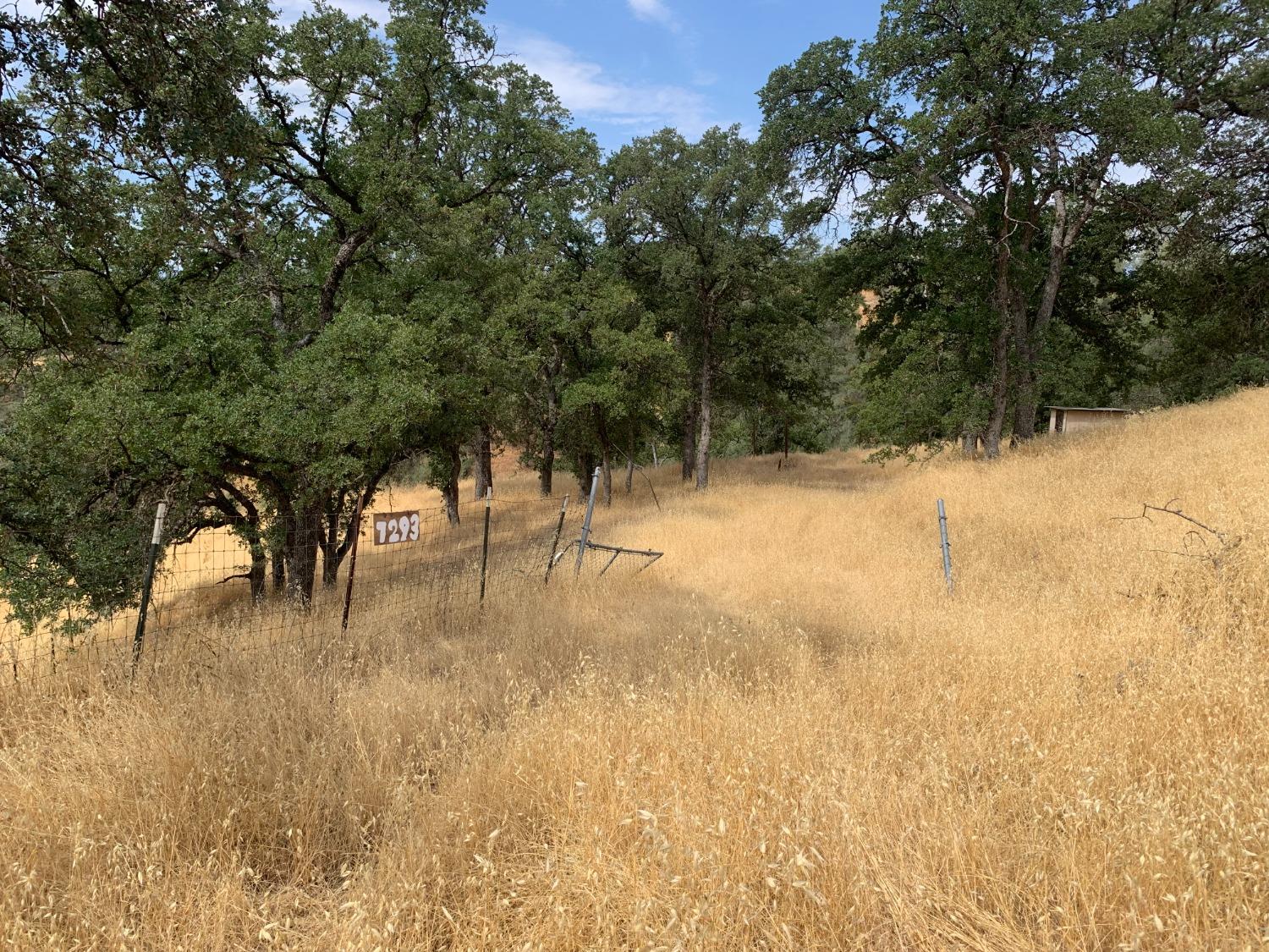 a view of back yard