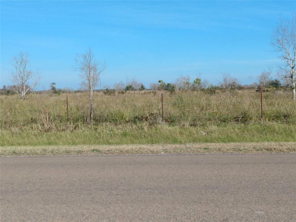 a view of a field with trees in background