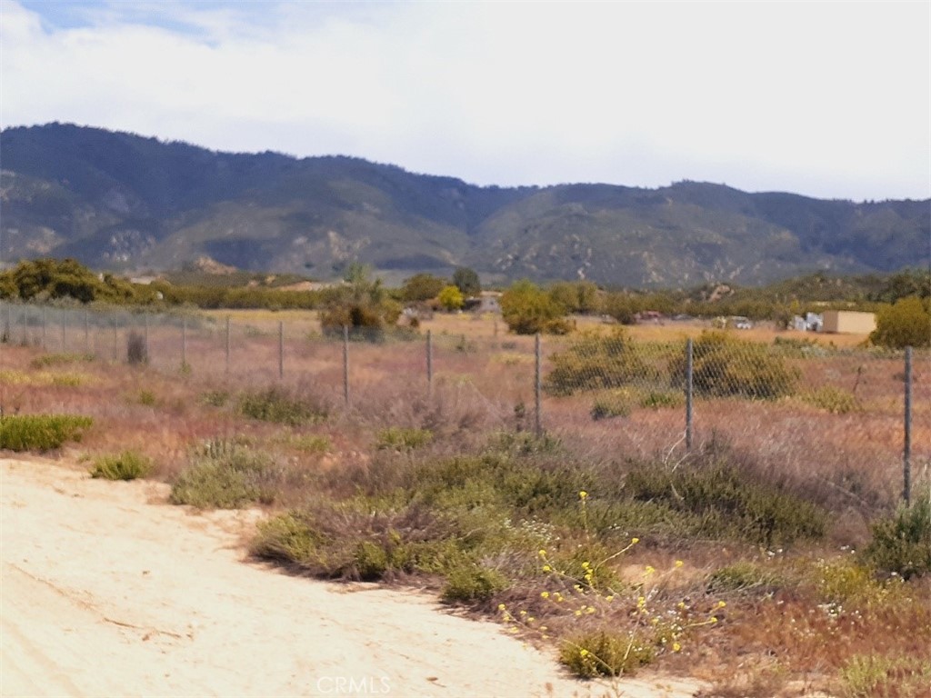 a view of a forest with mountains in the background