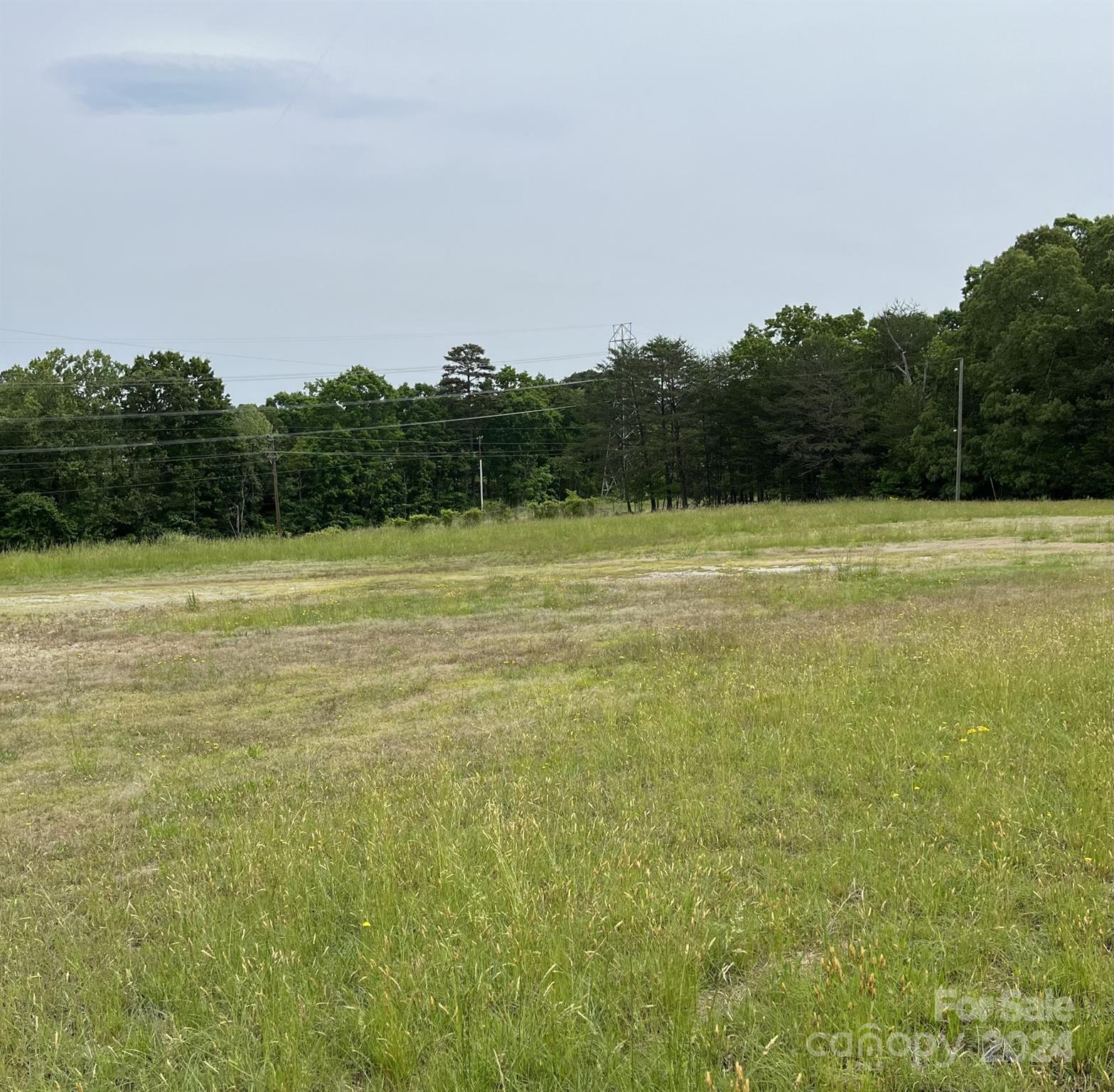 a view of a field with an ocean