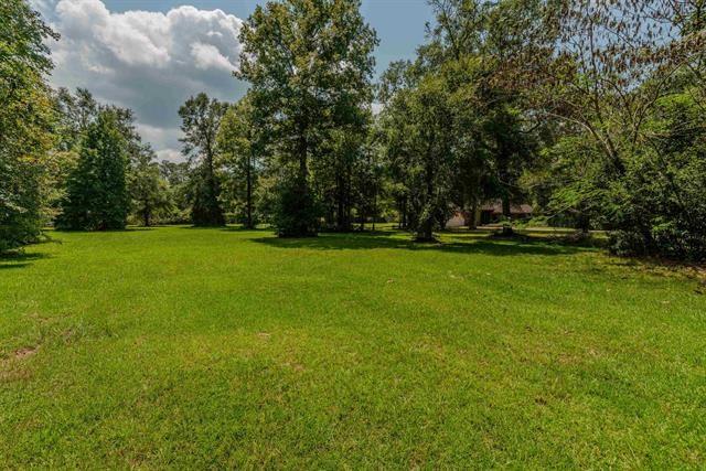 a view of a field of grass and trees