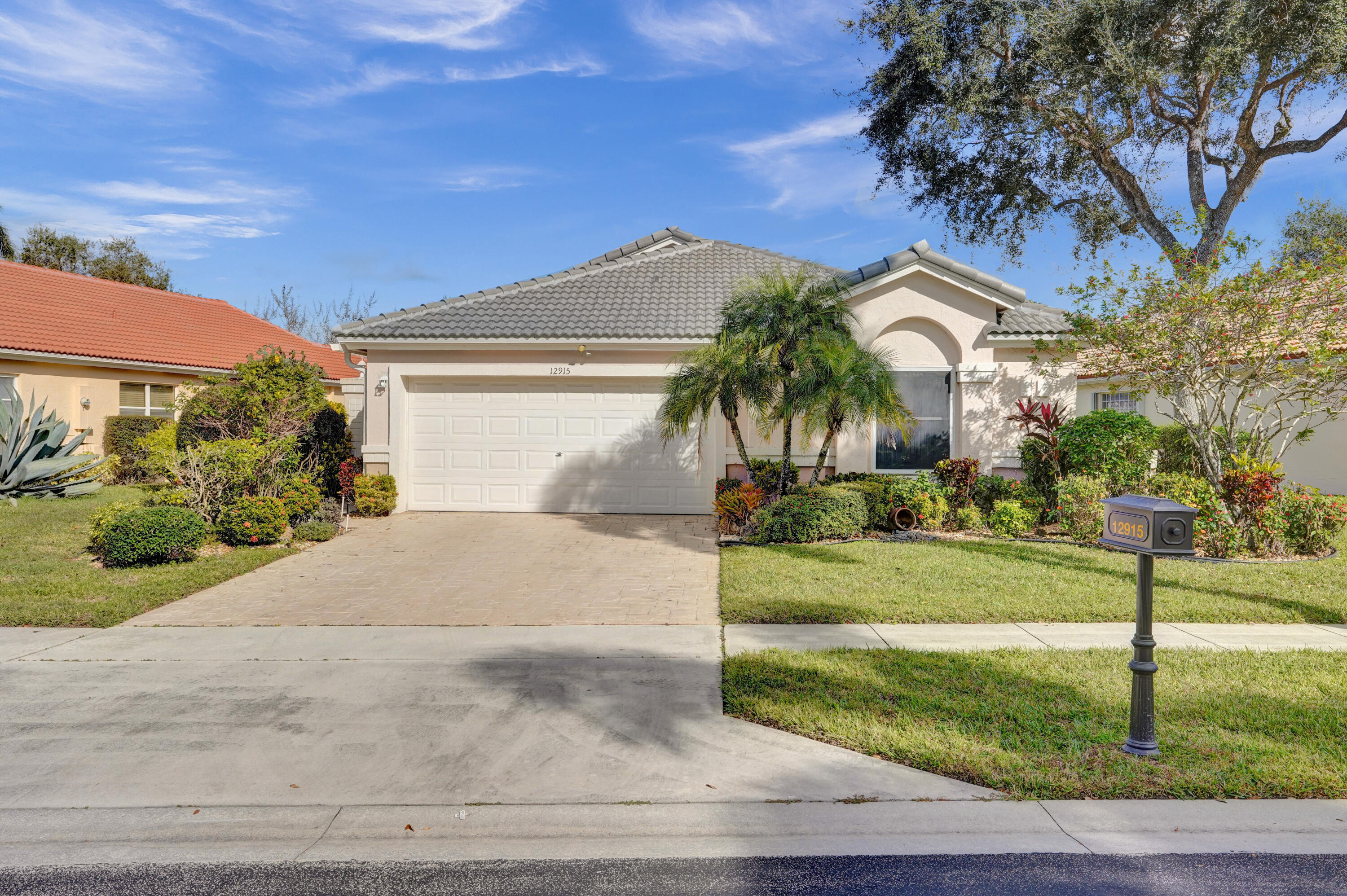 a palm tree sitting in front of a house with a yard