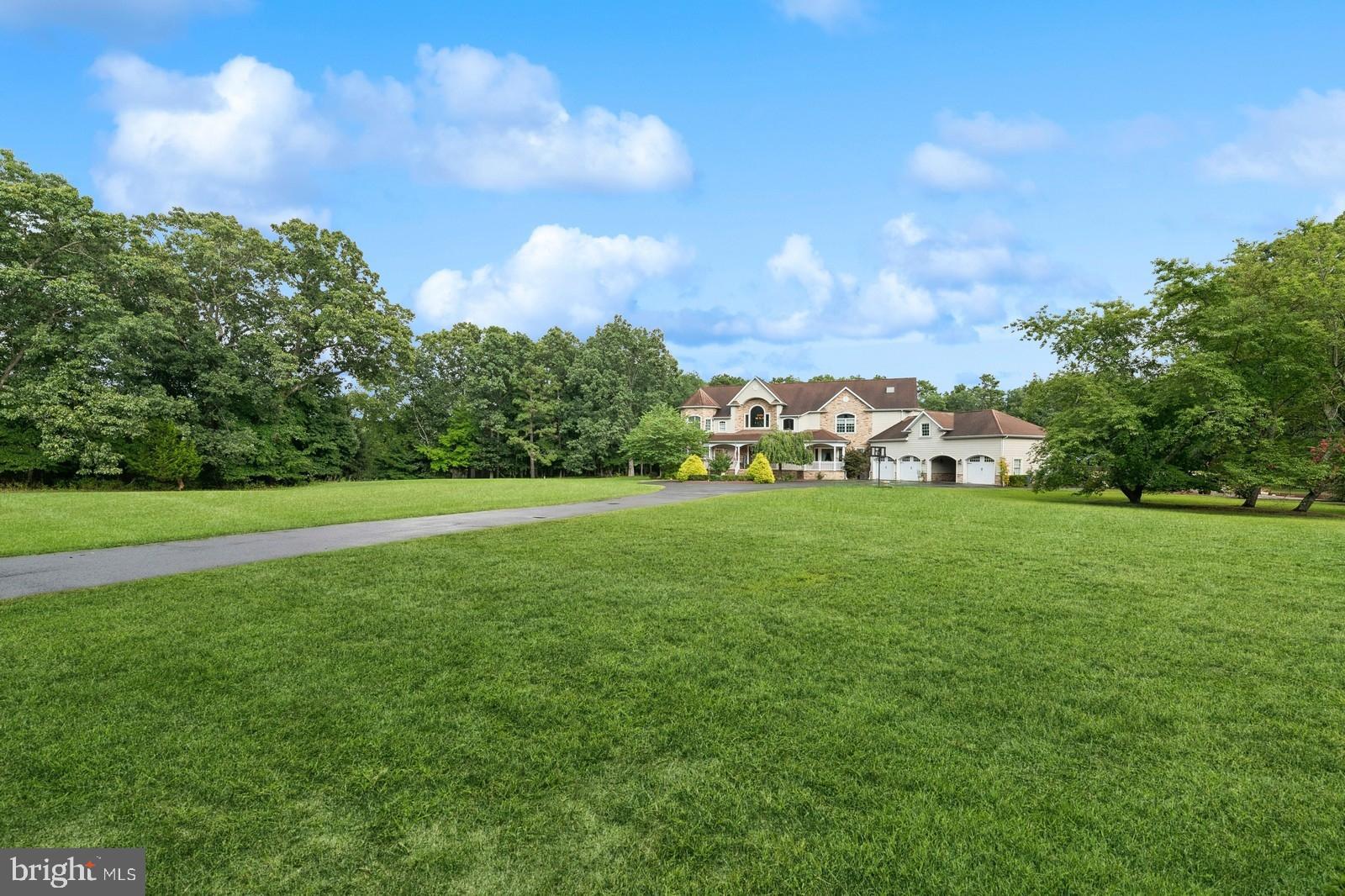 a view of field with trees in the background