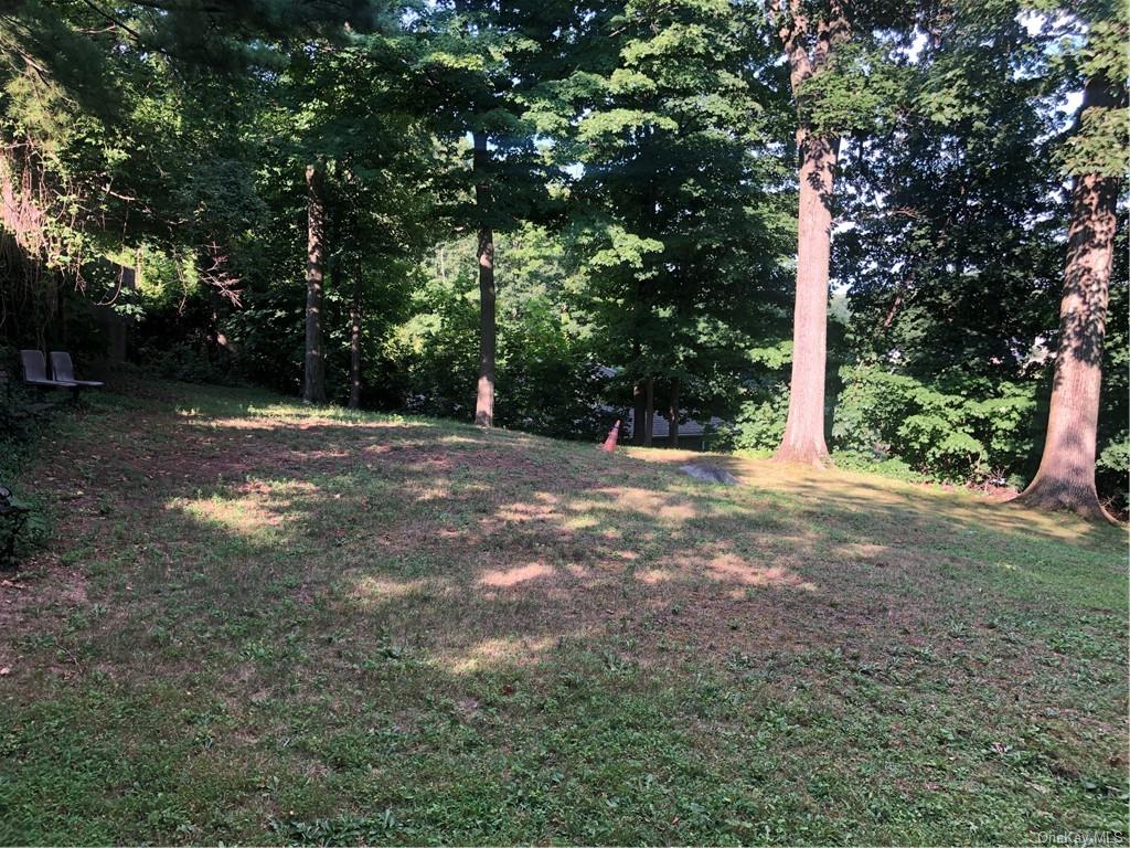 a view of backyard with green space