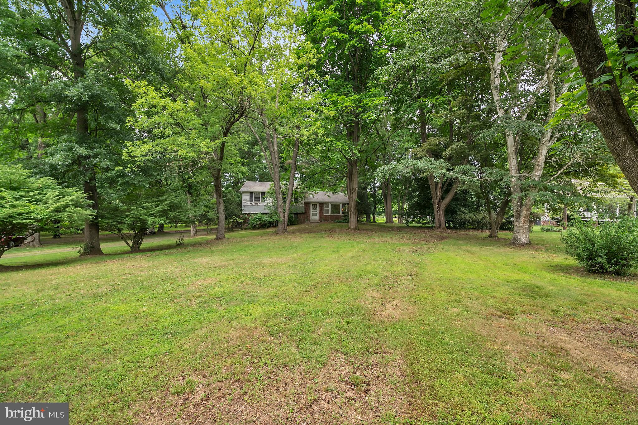 a view of a yard with a trees