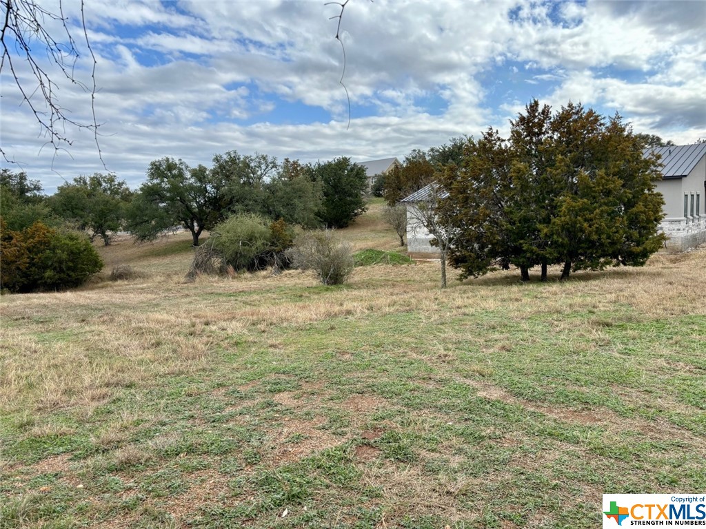 a view of a yard with trees