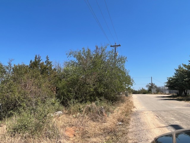 a view of a yard with a tree