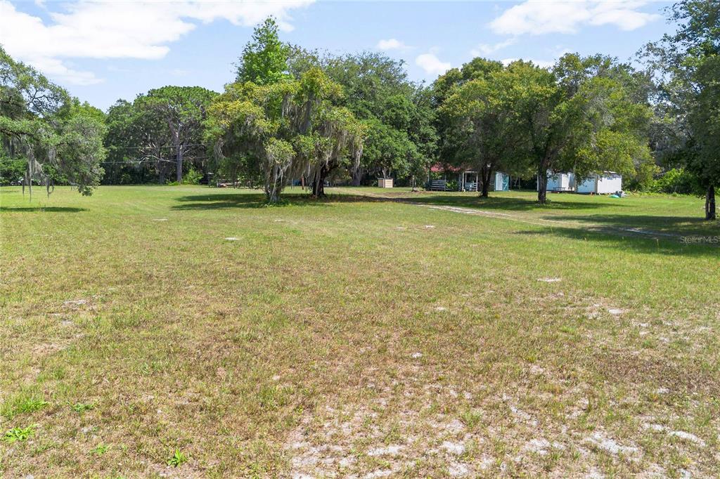 a view of a field with trees