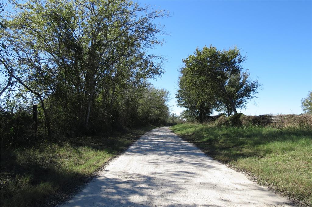 a view of a pathway both side of yard