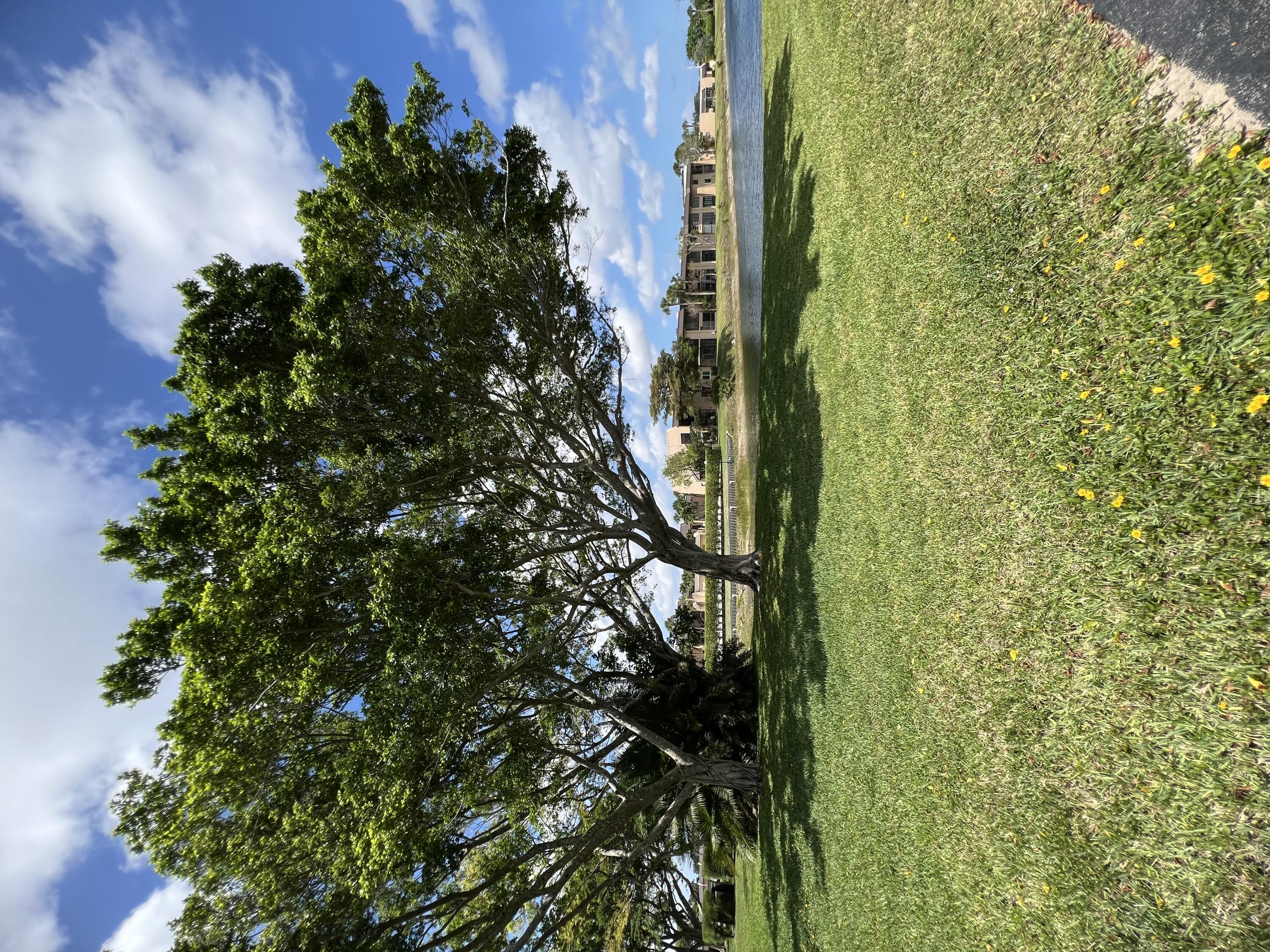 a view of a golf course with a lake