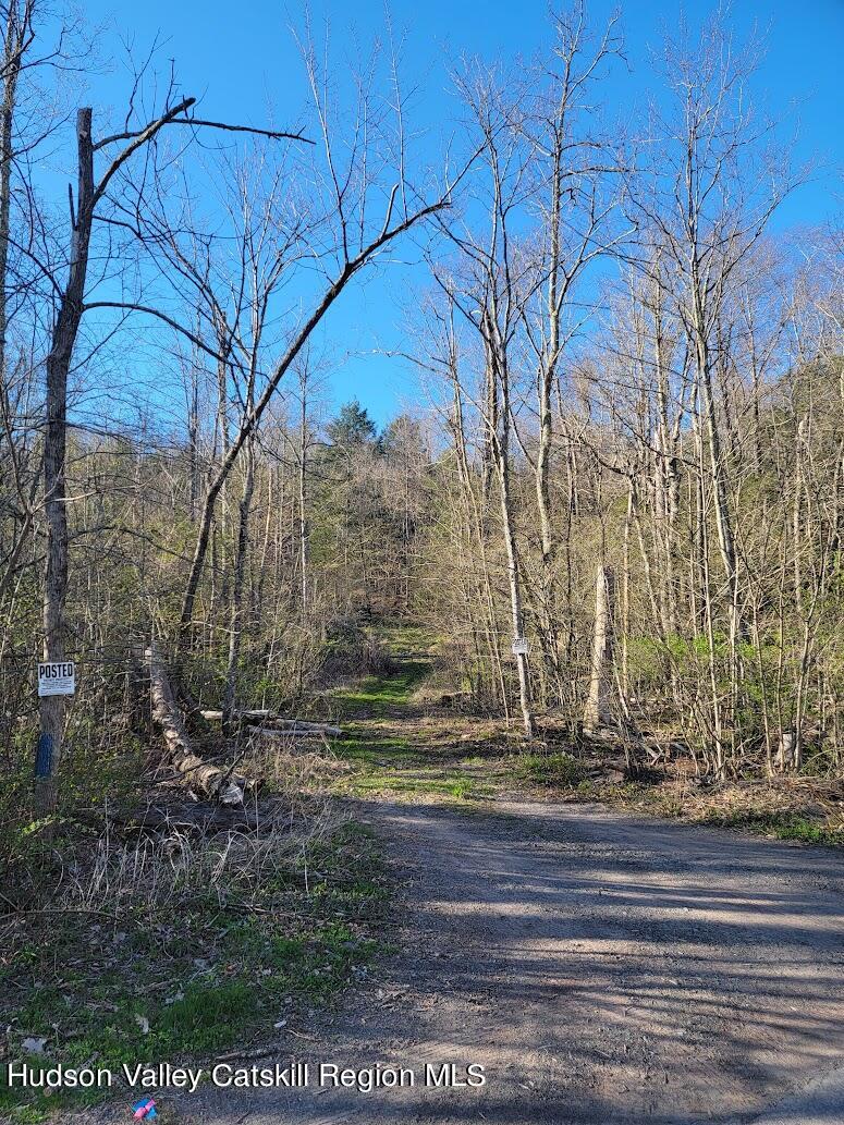 Entrance driveway