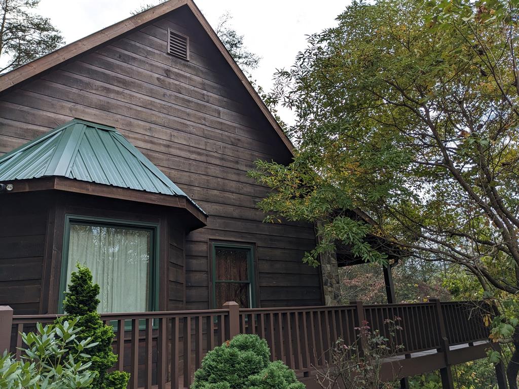 a backyard of a house with plants and tree