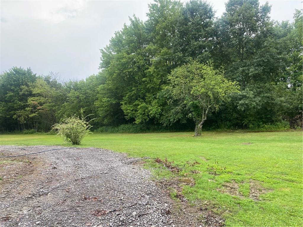 a view of a yard with a trees