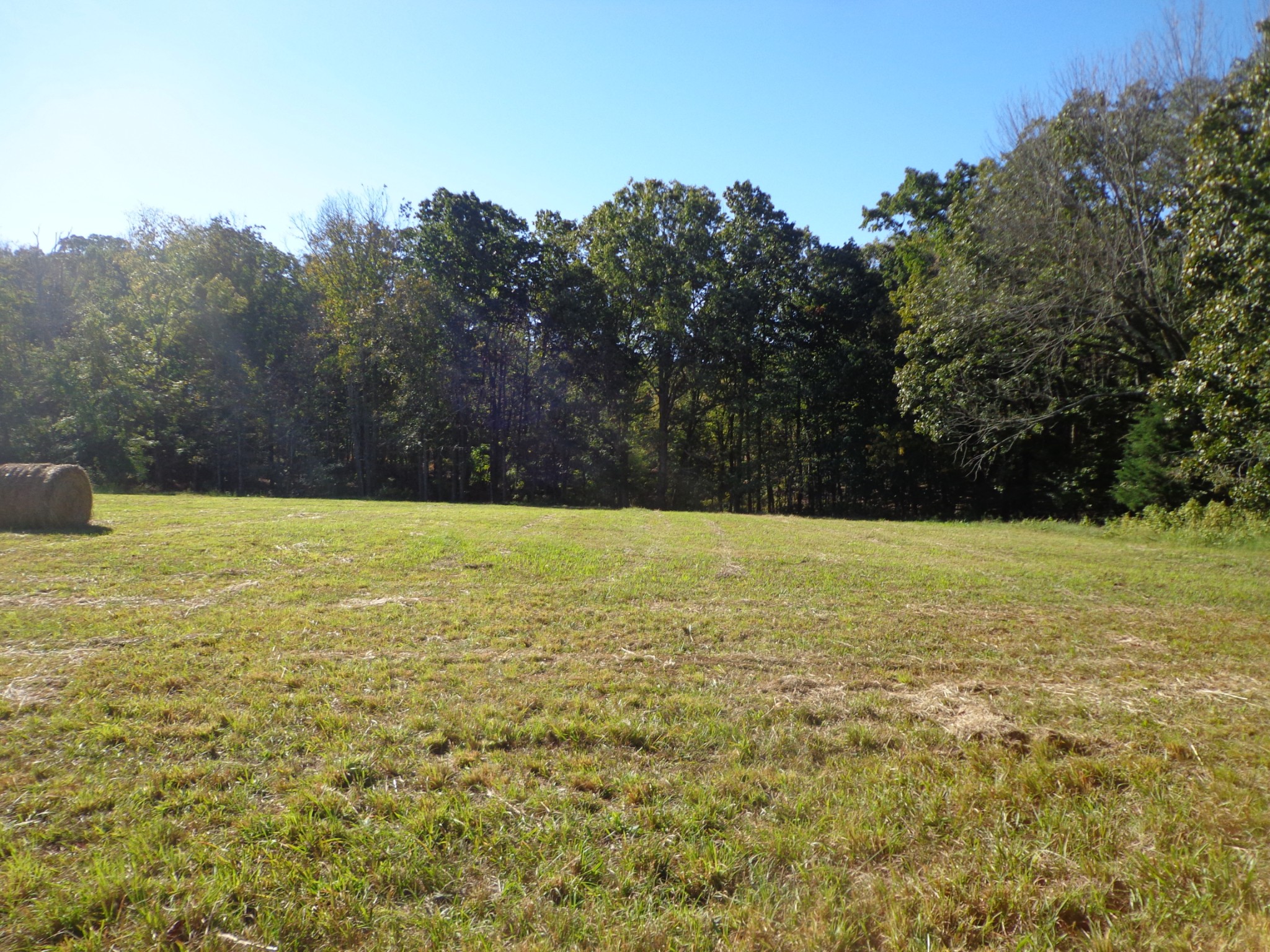 a view of an outdoor space and a yard