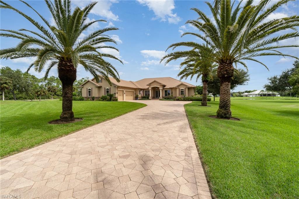 a view of a yard with a palm trees