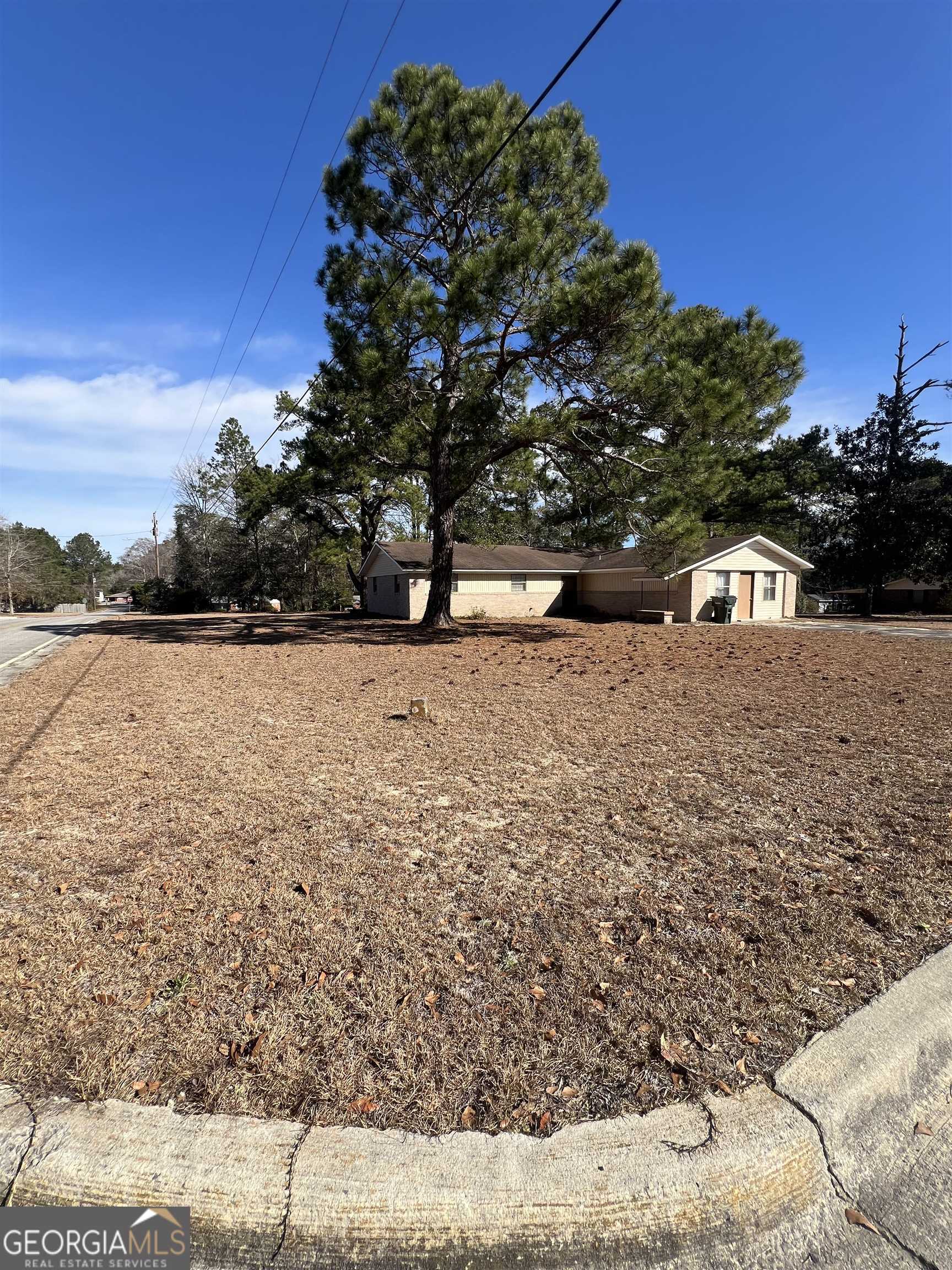 a view of dirt yard with a tree