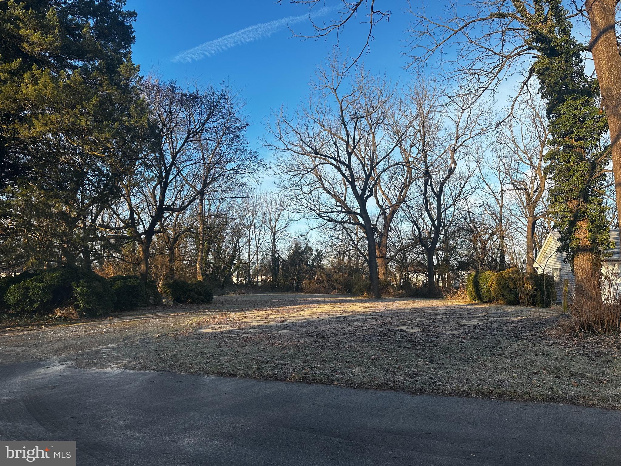 a backyard of a house with large trees